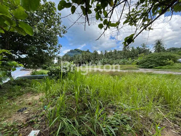 image TANAH PANTAI PRIBADI 1.1 HA VIEW SUNSET DI MUTUN LAMPUNG (6)