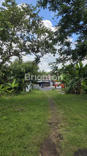 TANAH STRATEGIS 9.047M² DI WONOGIRI, LOKASI RAMAI