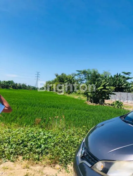 image DI JUAL TANAH SAWAH DEKAT PABRIK KAPAL API (2)