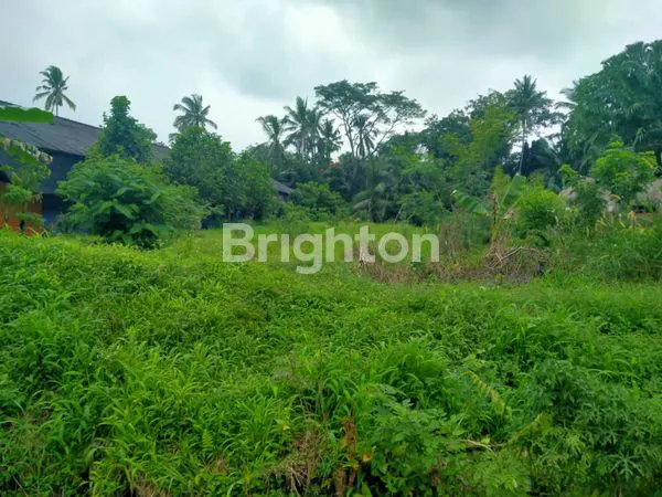 TANAH KOMERSIAL 16 ARE DI JALAN UTAMA PENEBEL, SIAP USAHA