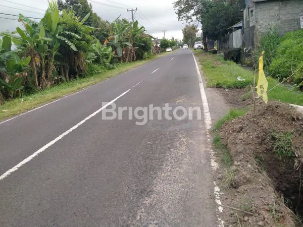 image TANAH KOMERSIAL 16 ARE DI JALAN UTAMA PENEBEL, SIAP USAHA (4)