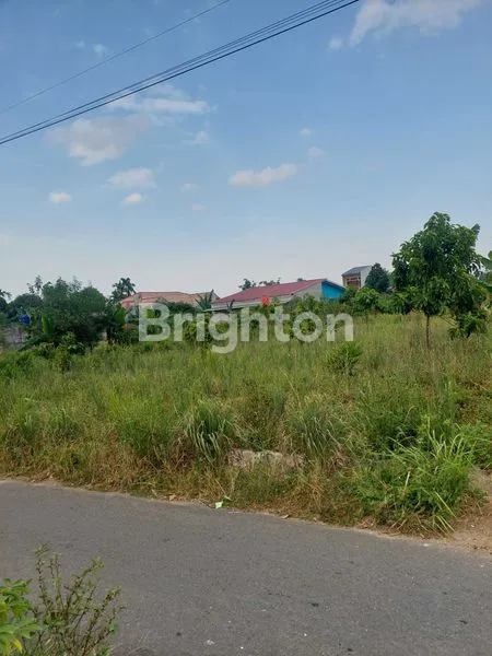 image TANAH CANTIK JUAL MURAH (1)