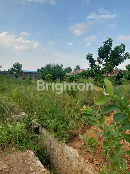 image TANAH CANTIK JUAL MURAH (3)