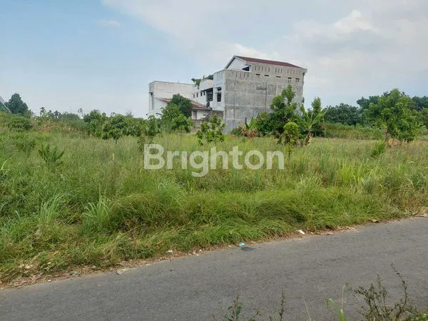 image TANAH CANTIK JUAL MURAH (6)