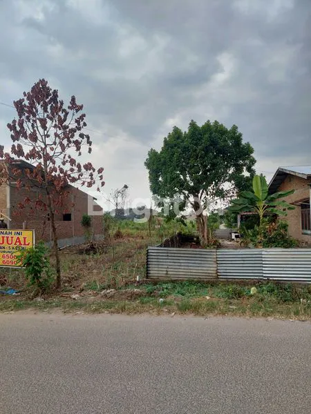 image TANAH MEMANJANG (2)