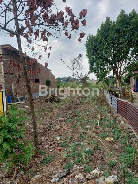 image TANAH MEMANJANG (4)