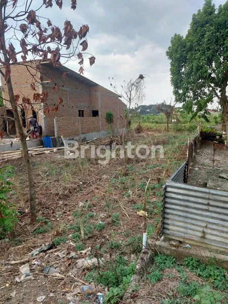 image TANAH MEMANJANG (1)