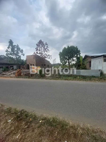 image TANAH MEMANJANG (5)