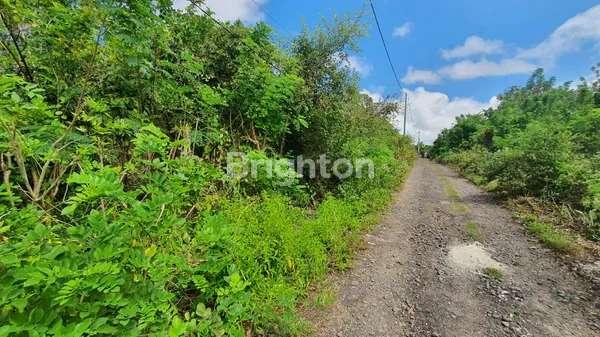 image TANAH DI JALAN AKSES MASUK PROJECT SOL NUSA DUA, DI SAWANGAN NUSA DUA BALI (2)