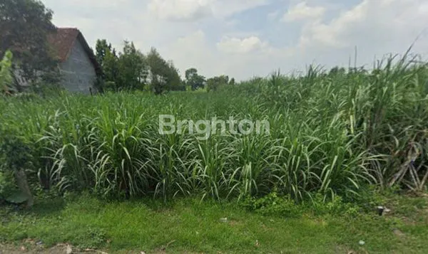 TANAH SELUAS 2.301 M² DEKAT JALAN NASIONAL TULUNGAGUNG - KEDIRI