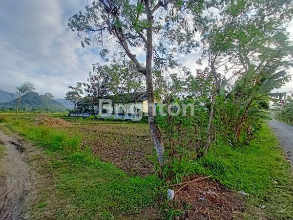 image TANAH STRATEGIS DEKAT JALAN NASIONAL (1)