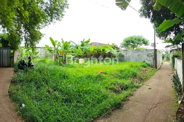 image TANAH DARAT DAN  (5)