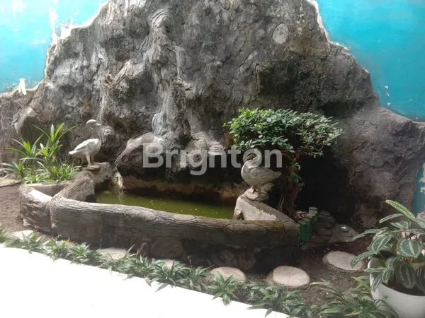 image RUMAH 300M2 ( HITUNG TANAH ! ) DI LOKASI YANG STRATEGIS 3 MENIT DARI SOEHAT, KOTA MALANG (6)