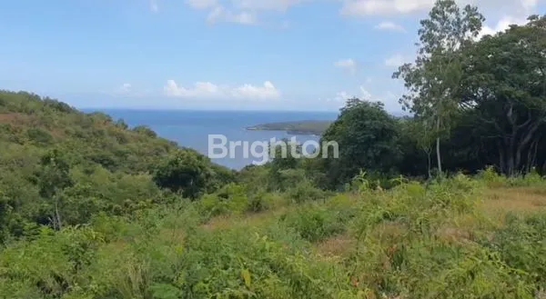 image TANAH PREMIUM 1.2 HA VIEW SPEKTAKULER DI NUSA PENIDA, BALI (1)