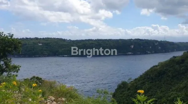 image TANAH PREMIUM 1.2 HA VIEW SPEKTAKULER DI NUSA PENIDA, BALI (3)