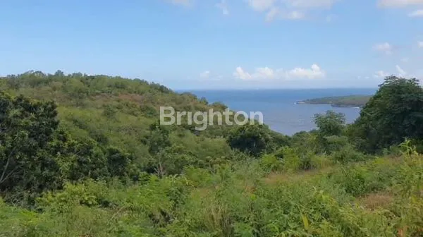 image TANAH PREMIUM 1.2 HA VIEW SPEKTAKULER DI NUSA PENIDA, BALI (2)