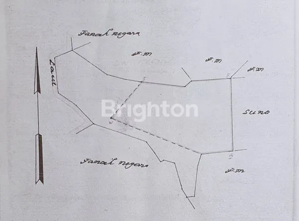 image TANAH PREMIUM 1.2 HA VIEW SPEKTAKULER DI NUSA PENIDA, BALI (4)