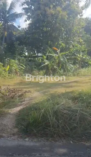 image TANAH PREMIUM 98 ARE VIEW PANTAI DI NUSA PENIDA, DEKAT HOTEL (2)