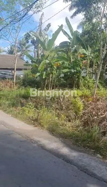 image TANAH PREMIUM 98 ARE VIEW PANTAI DI NUSA PENIDA, DEKAT HOTEL (4)