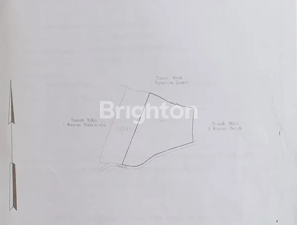 image TANAH PREMIUM 98 ARE VIEW PANTAI DI NUSA PENIDA, DEKAT HOTEL (5)