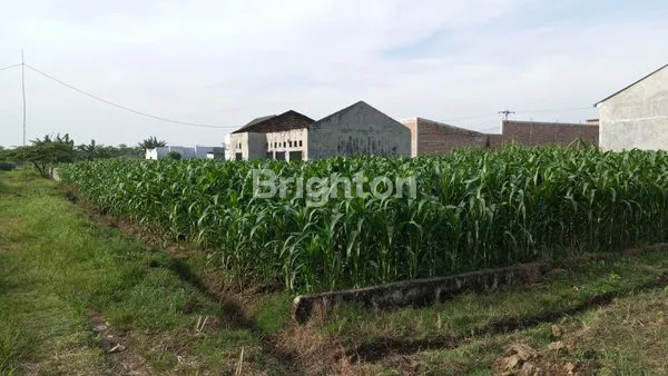 image LAHAN TANAH MURAH (1)