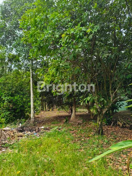 image TANAH LUAS 6.555M2 BINJAI.. HARGA MURAH RP 210.000/M (2)