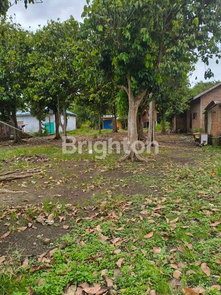 image TANAH LUAS 6.555M2 BINJAI.. HARGA MURAH RP 210.000/M (6)