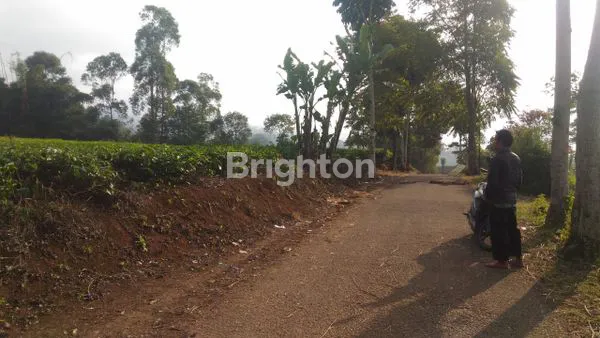 image SEBIDANG TANAH KOMERSIL CIWIDEY, COCOK DIJADIKAN VILLA ATAU TEMPAT WISATA (2)