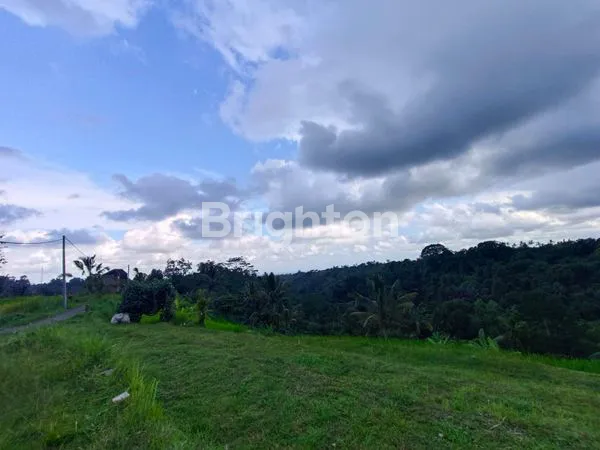 image JUAL TANAH SHM DAERAH TABANAN BALI DEKAT DENGAN TEMPAT WISATA JATILUWIH BALI (5)