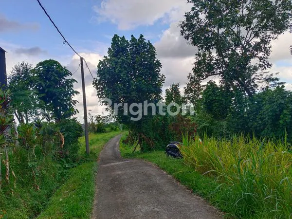 image JUAL TANAH SHM DAERAH TABANAN BALI DEKAT DENGAN TEMPAT WISATA JATILUWIH BALI (2)