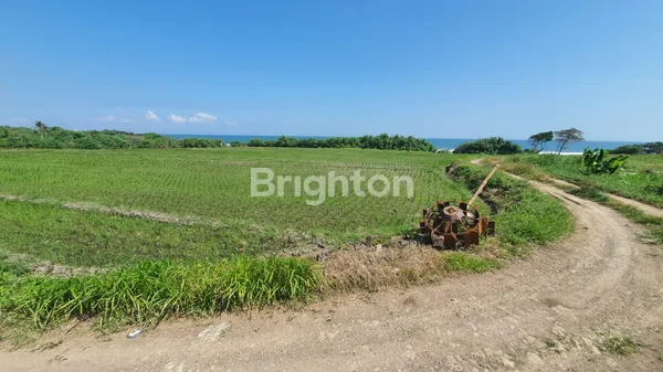 image TANAH 78,5 ARE DI PINGGIR PANTAI (BEACHFRONT), PANTAI KELATING, TABANAN (2)