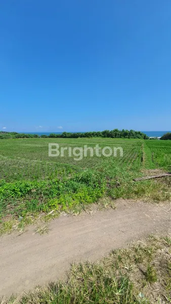 image TANAH 78,5 ARE DI PINGGIR PANTAI (BEACHFRONT), PANTAI KELATING, TABANAN (4)