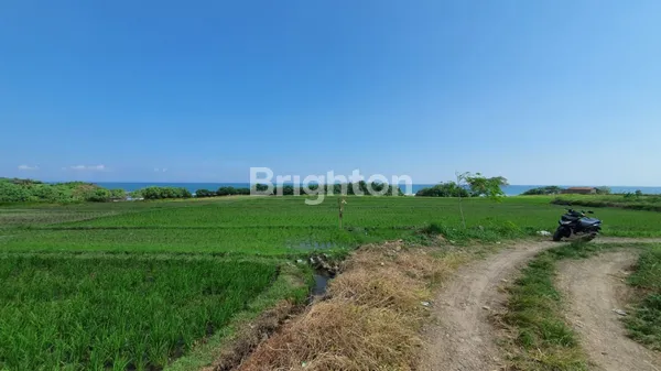 image TANAH 78,5 ARE DI PINGGIR PANTAI (BEACHFRONT), PANTAI KELATING, TABANAN (1)