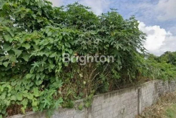 image DISEWAKAN TANAH DAERAH KELAN TUBAN (3)