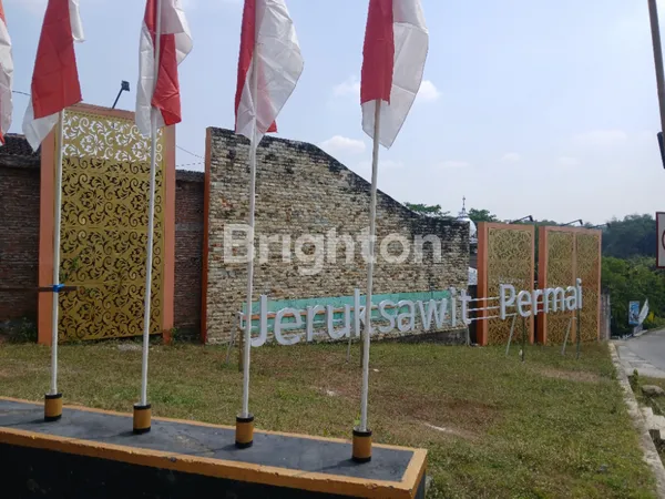 image RUMAH SIAP HUNI DI JERUK SAWIT, GONDANGREJO – LINGKUNGAN ASRI & NYAMAN (8)