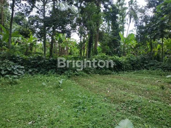 TANAH 38 ARE VIEW SUNGAI & HUTAN TROPIS DI PAYANGAN UBUD - SIAP BANGUN