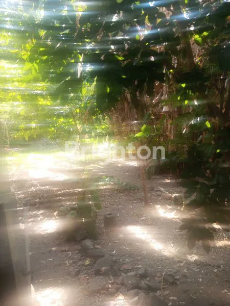 image DI JUAL TANAH PLUS RUMAH STRATEGIS DI MOJOSONGO SOLO COCOK UNTUK DIBANGUN GUDANG (5)