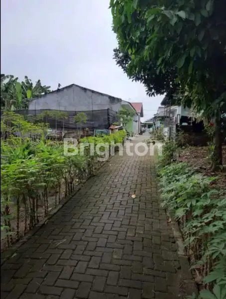 image TANAH KAVLING SELUAS 105M2 DI BERINGIN, DELI SERDANG (2)