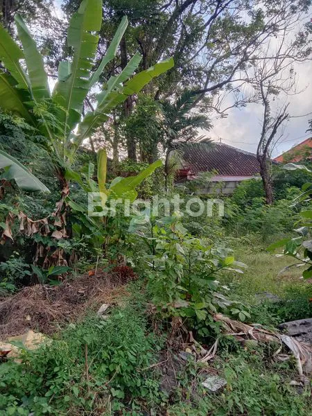 image TANAH PREMIUM DI JALAN TAMAN JIMBARAN (6)