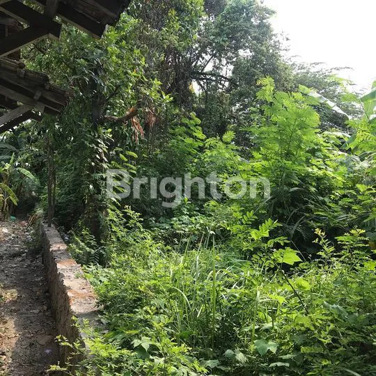 image DIJUAL CEPAT TANAH DI KARANGROTO (1)