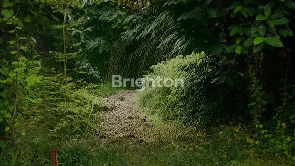 image TANAH DI JALAN UTAMA 24 ARE – JL. BY PASS NGURAH RAI (2)