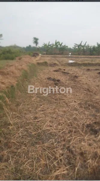 image TANAH DI DESA KETINTANG KABUPATEN BOYOLALI (2)