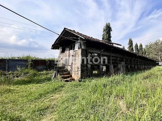 image LAHAN EX PETERNAKAN STRATEGIS UNTUK PABRIK (1)