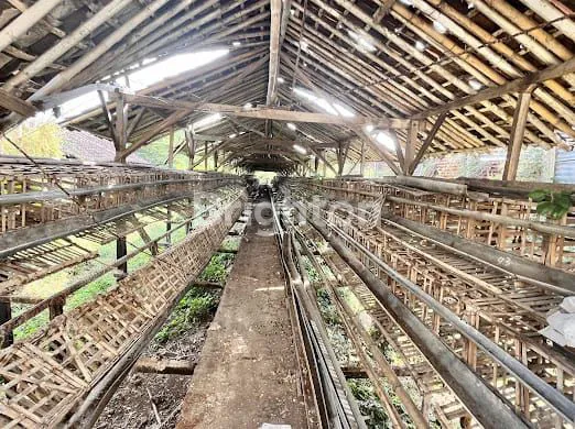 image LAHAN EX PETERNAKAN STRATEGIS UNTUK PABRIK (3)