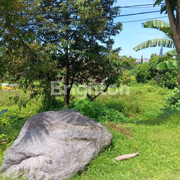 image TANAH PUNCAK TIDAR - MALANG (4)