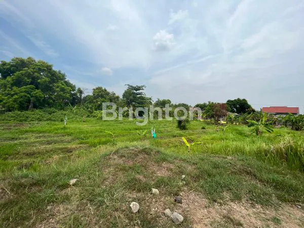 TANAH KOMERSIAL 2955M² NOL JALAN RAYA PLOSO JOMBANG