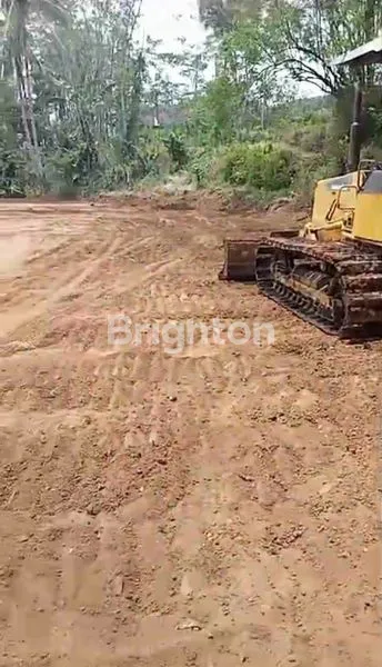 image TANAH SIAP BANGUN UNTUK USAHA DI JALAN NASIONAL SECANG MAGELANG (2)