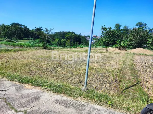 image TANAH JERUKSAWIT (4)