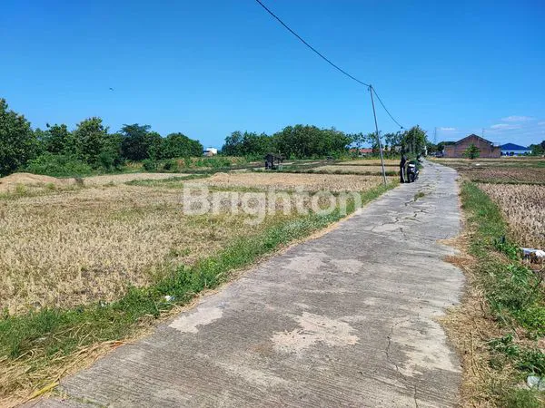 image TANAH JERUKSAWIT (2)