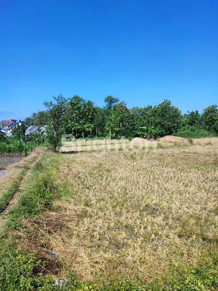 image TANAH JERUKSAWIT (1)